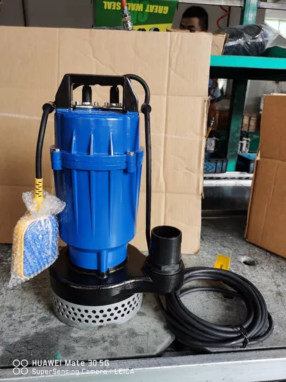 Bomba sumergible de acero inoxidable de alta eficiencia para fuente de agua de estanque de jardín y piscina.